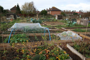 a raised bed system